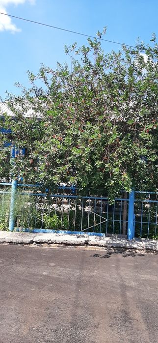 Продам дом частный