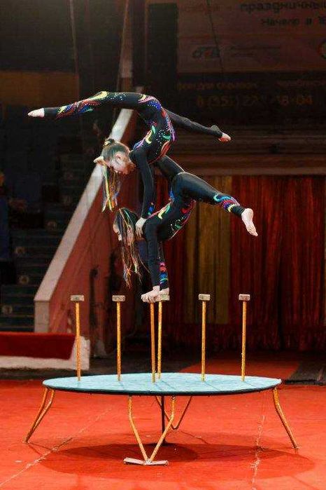 ЦИРК Цирковые услуги шоу программа концерты представление фокусы трюки