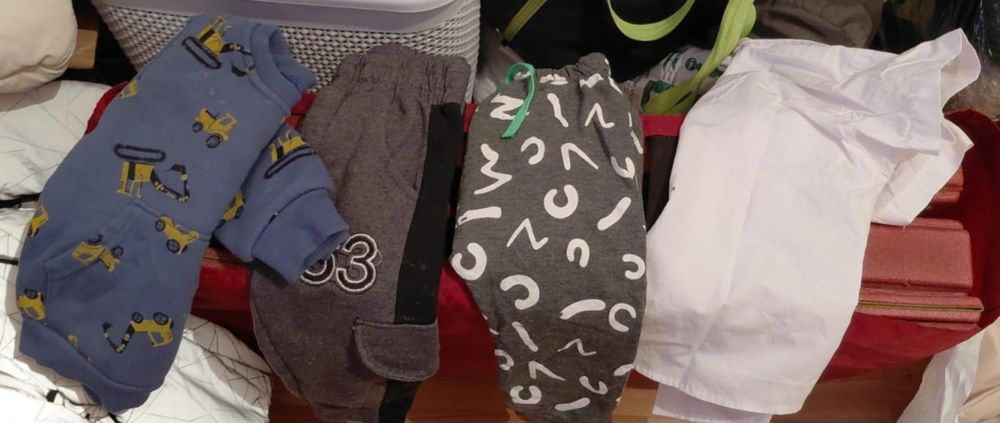 Отдам даром даром