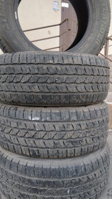 Летний шины Atlandet Rovestar