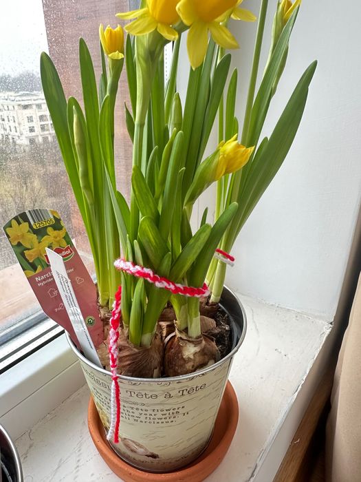 „Ръчно плетени мартеници на една кука – подарък за Баба Марта“