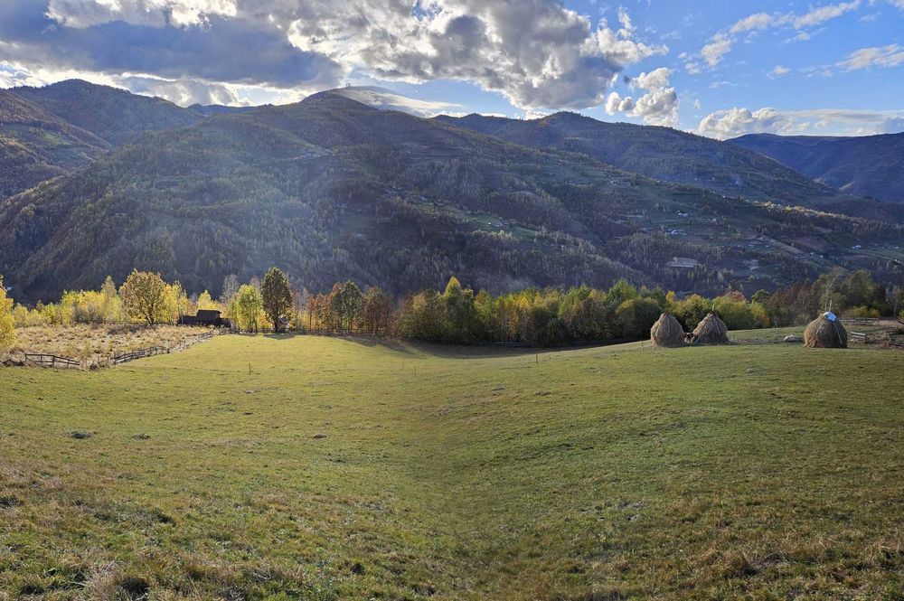 Inchiriez sau vand teren intravilan Muntele Rece - 10524 mp