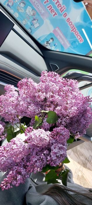 Сирень 500тг әдемі букет
