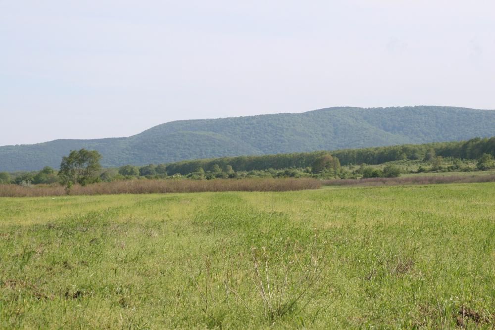 Продава се Парцел в Бяла - 1294 кв.м за 26 €/кв.м - Снимка #7