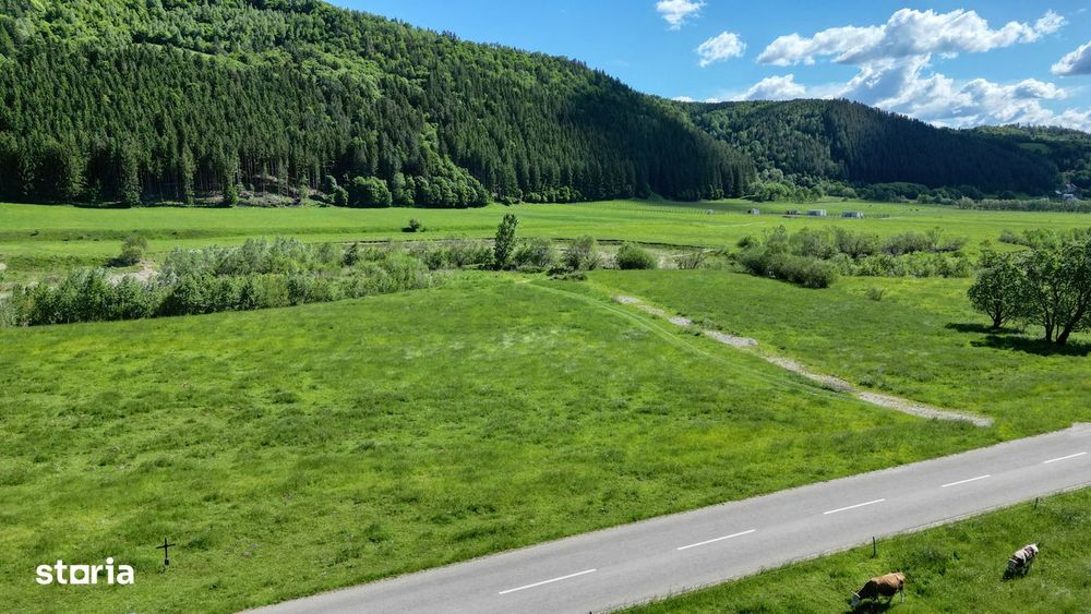 Teren intravilan In Zarnesti zona Plaiul Foii, asfalt si priveliste