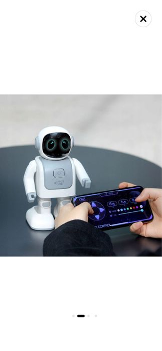 Robot interactiv Robert