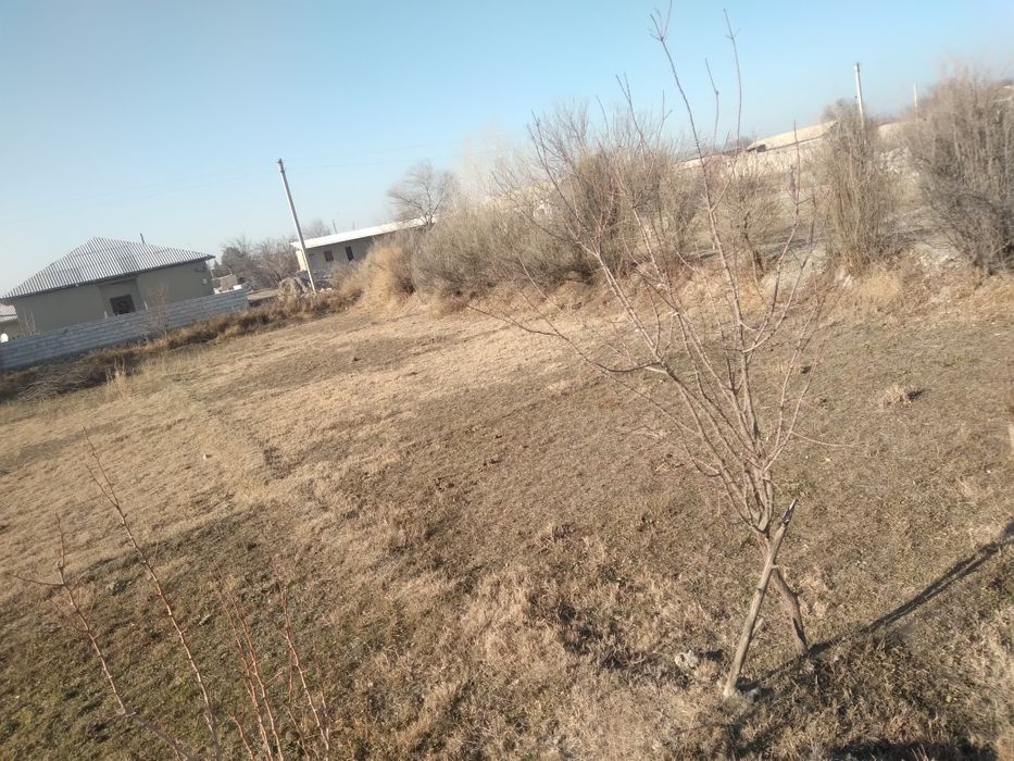 Yer sotiladi tel qilingla sutigi un million