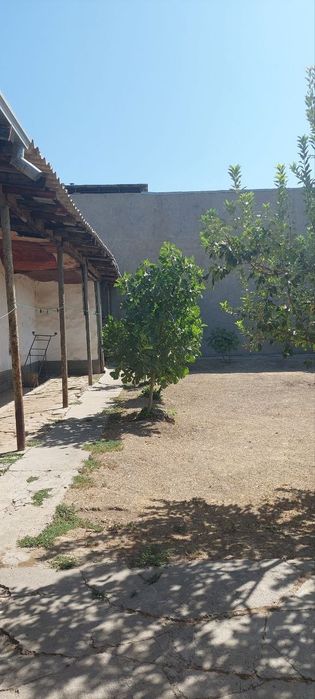 Белтепа Ер уй сотилади Шайхонтохур.