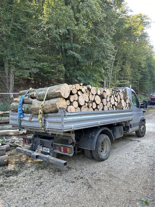 Lemn de foc esenta tare