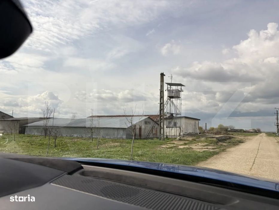 Ferma de nuci - teren agricol, zona Ivesti