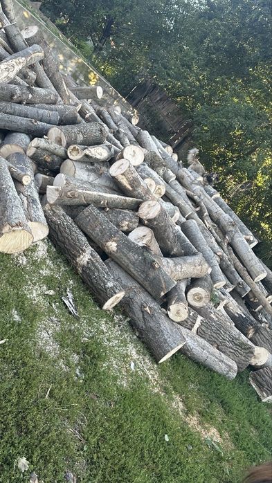 Lemne de foc de vanzare