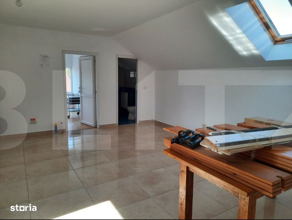 Casa+Spatiu Pentru Afacere/Locuit Iancu Jianu