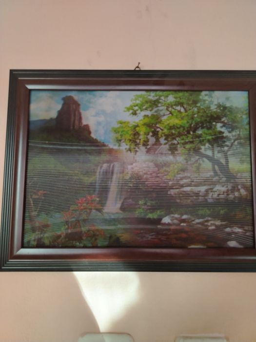 Картина  с рамка