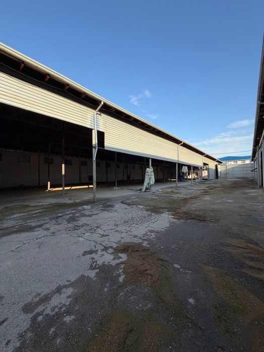 М39 Мелек готовый завод отработки древесины 27соток со всеми удобствам