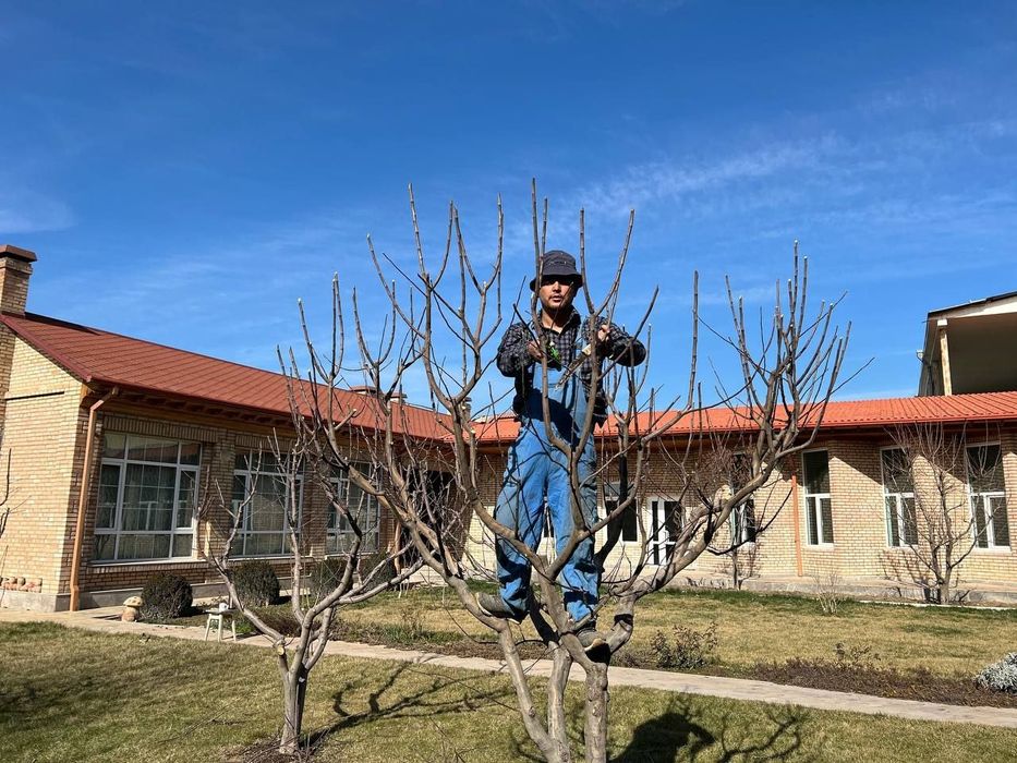 Богбон Садовник ,Gardener