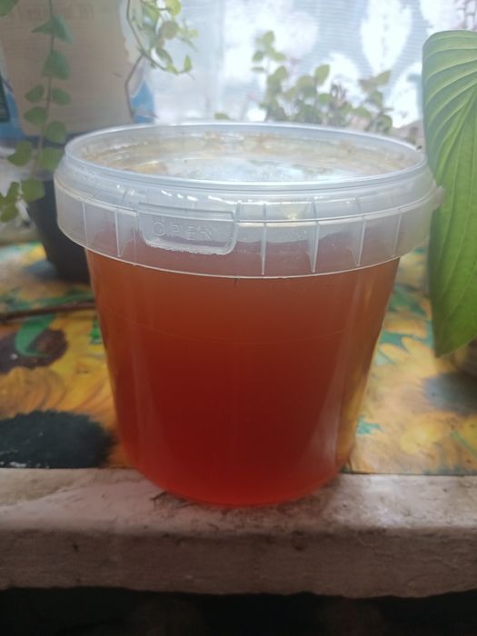 Продам мед высокогорный, разнотравик