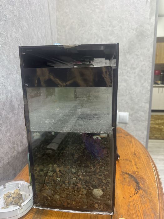 Avaryum b/u 50/10 sm