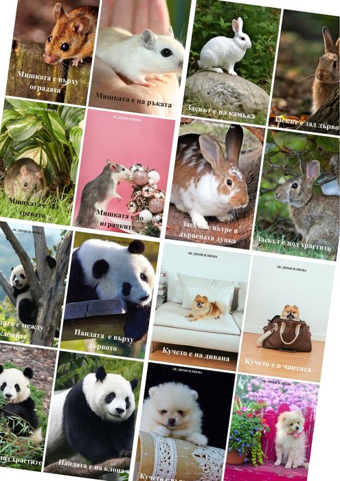 Логопедични карти Предлози