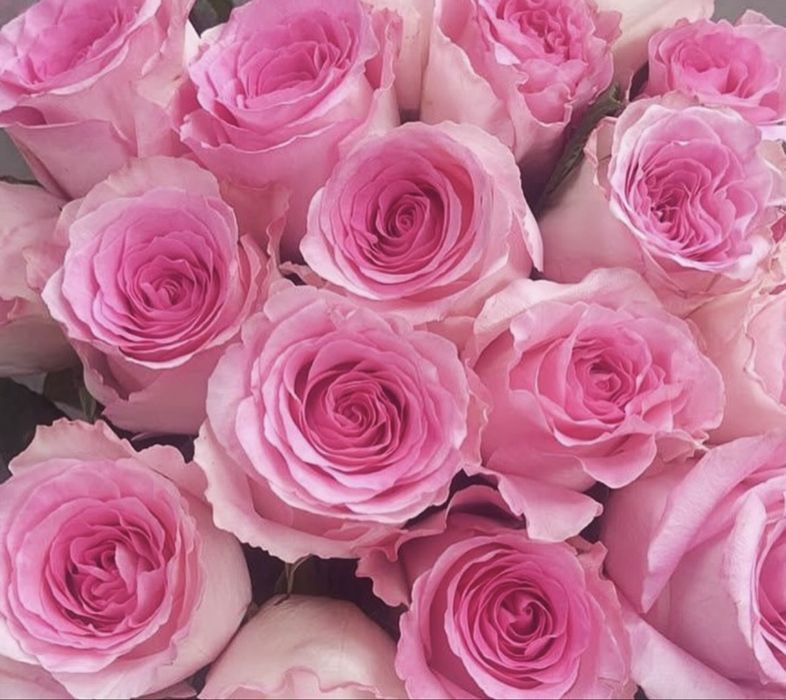 Розы по 600 тг город Атырау