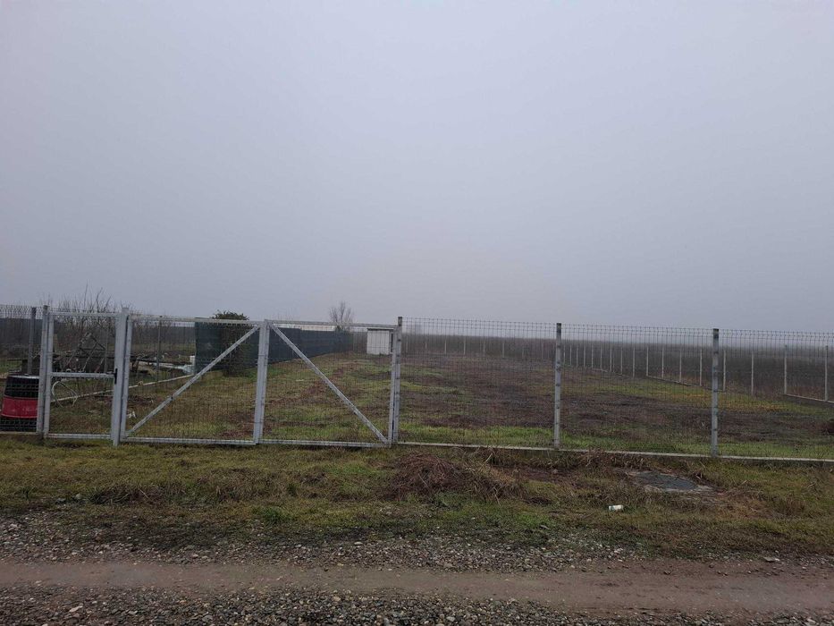 Vanzare teren 1000 mp Gradistea, Ilfov