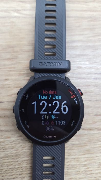 Smartwatch Garmin Forerunner 55