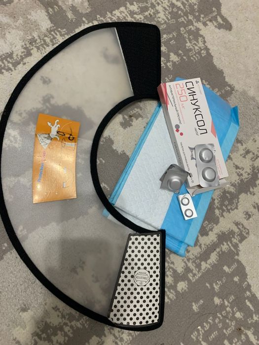 Продам переноску для кошек