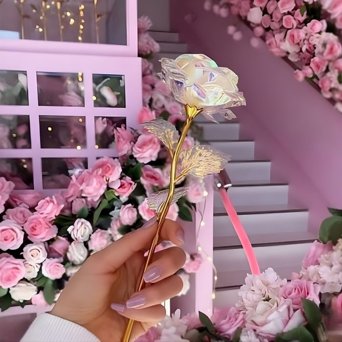 Роза в цветовете на дъгата – изискан подарък за любов и благодарност