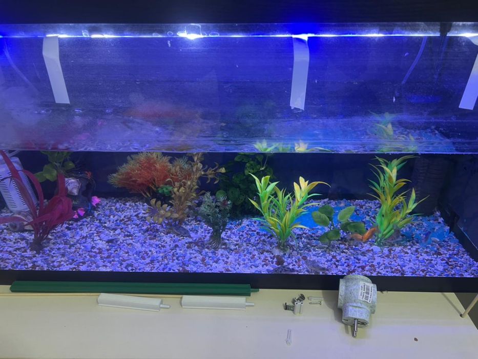 Аквариум на 150 л