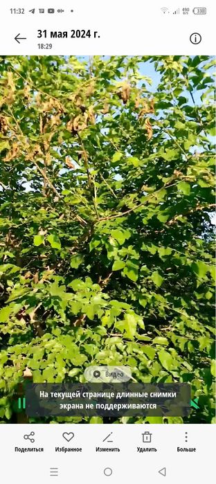 Продается участок 6 соток вместе  с.  кладовкой  10 х4