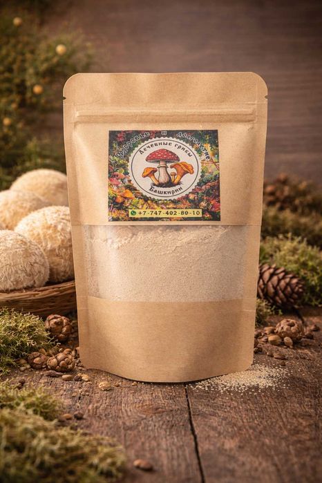 Ежовик фермы Башкирии | Мицелий, плоды, капсулы