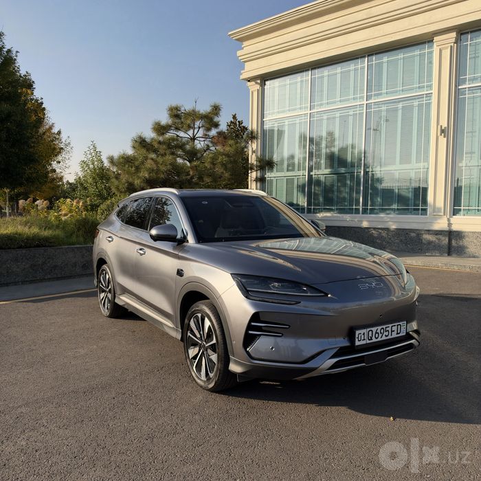 Byd champiom smart 2025