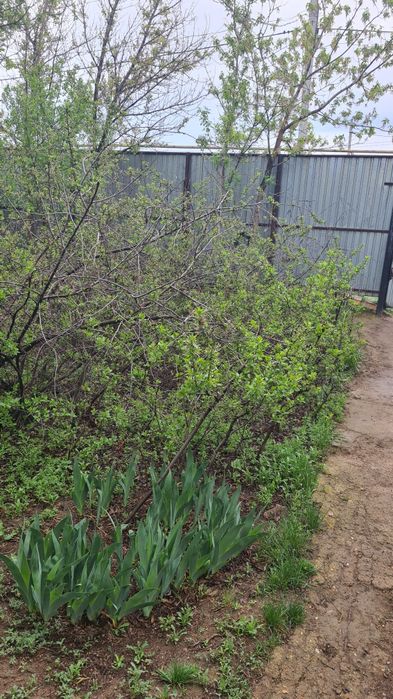 Дом'Белес'Продажа!