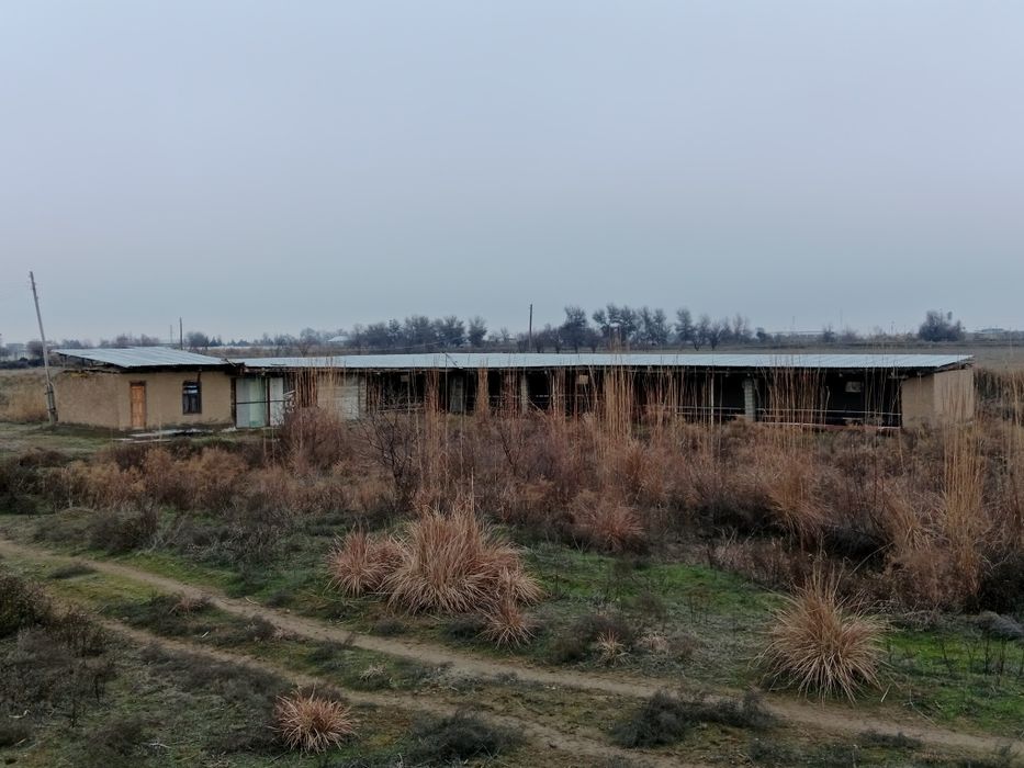 Baliq xojaligi sotiladi