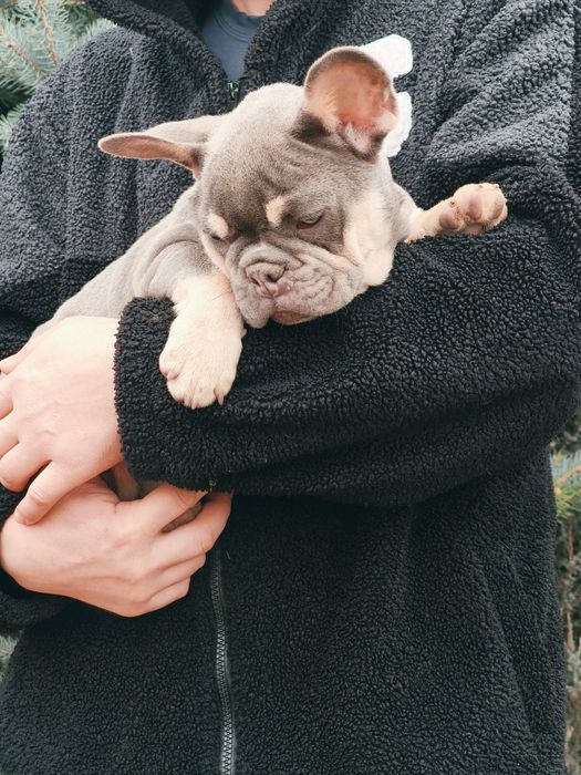 Шикарная девочка