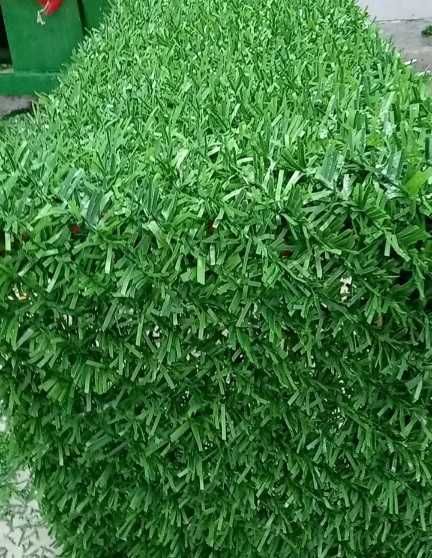 Декоративна мрежа Жив плет безплатно до офис на Еконт за 9.30 м2