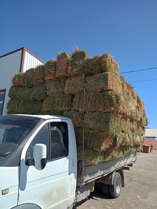 Жоңышқа прес бар.жақсы басылған