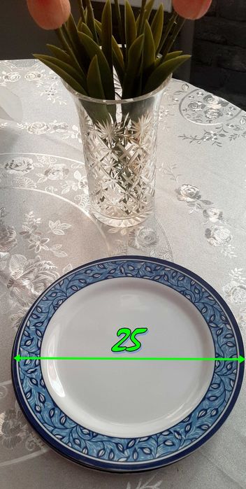 ТАРЕЛКИ для ПИКНИКА  D25см Новые!