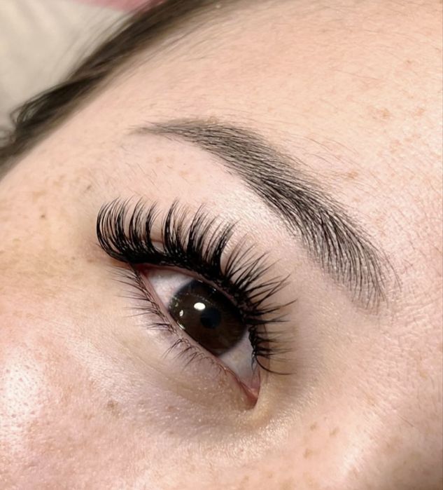 2D-5000 3D-5500 4D-6500 5D-8000