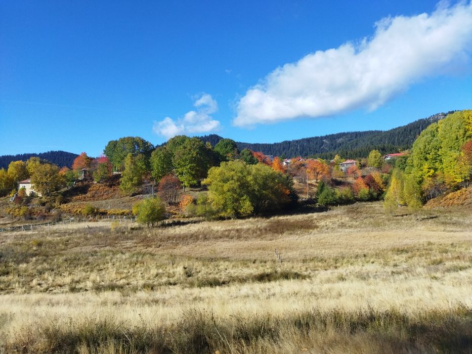 Продава се Парцел в Смолян, Езерово - 3136 кв.м за 35 €/кв.м - Снимка #6