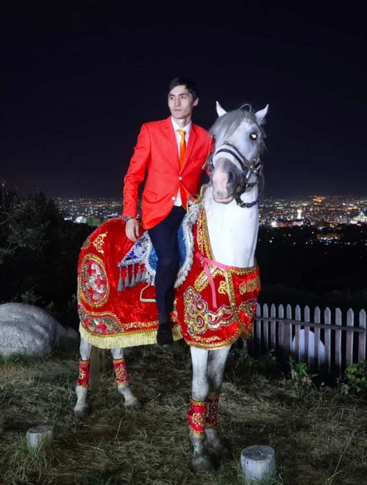 Кареты фаэтоны Лошали Пони