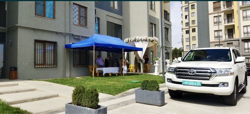 Прокат Prakat Prokat зонт навес zontik naves аренда