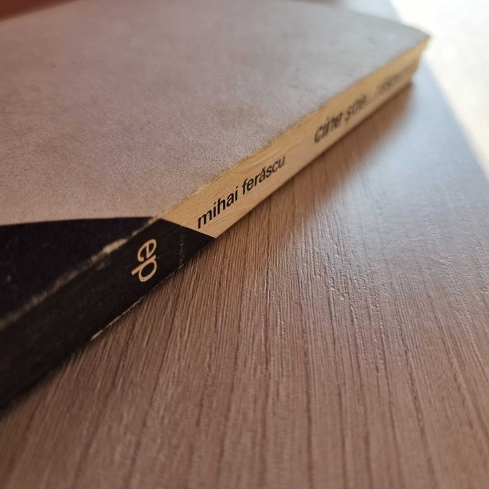 Carte INTREBARI si Raspunsuri - CINE STIE RASPUNDE - cultura generala