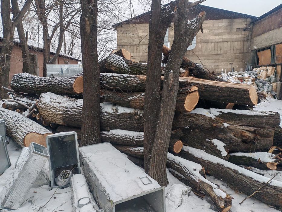 Продам брёвна карагач