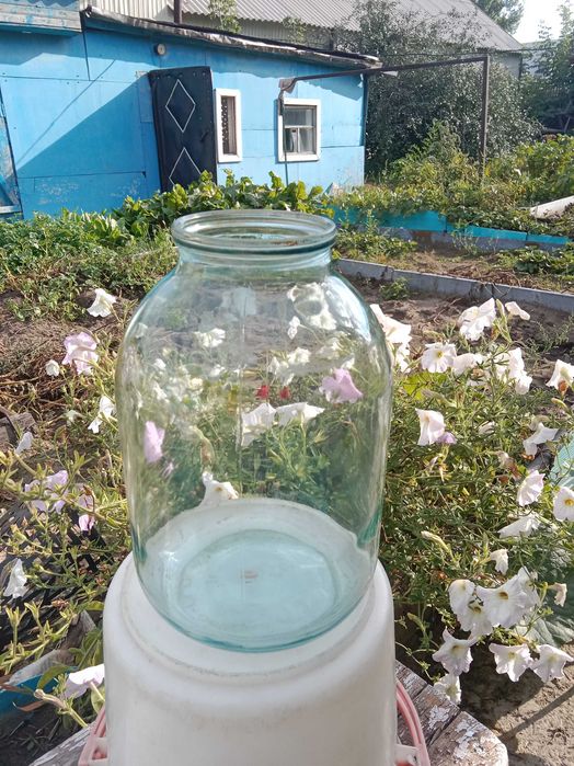 Продам банки-2 и 3 литра по 100 тг штука