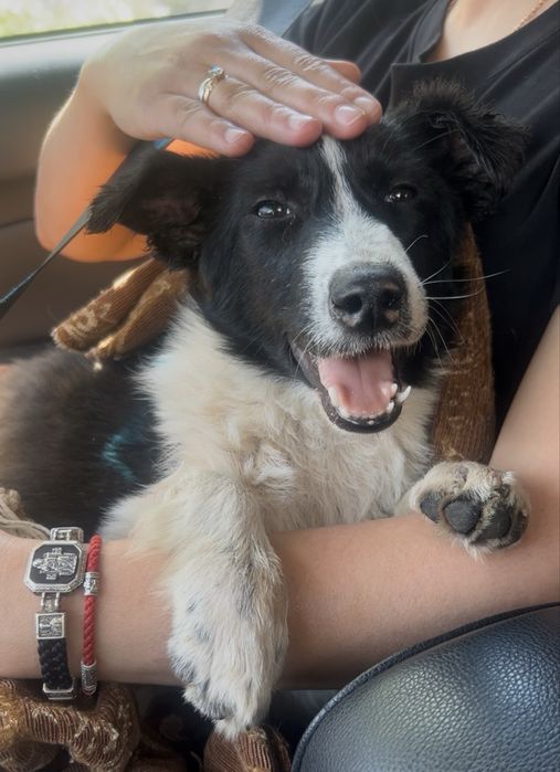 Мальчик 5 месяцев