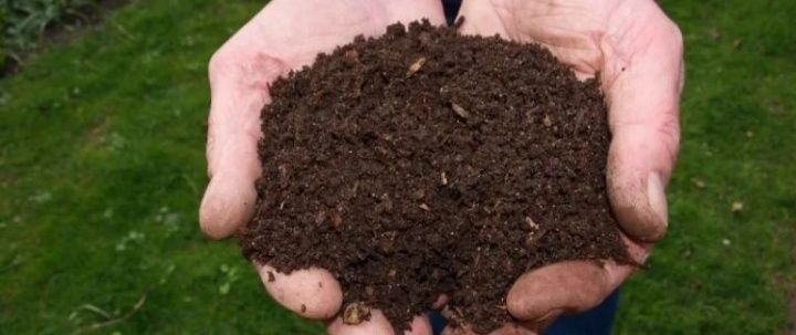 Навоз Перегной Доставка!