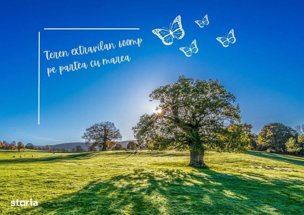 Teren In 23 August- 600 Mp-Ultima Portunitate Din Acest Proiect