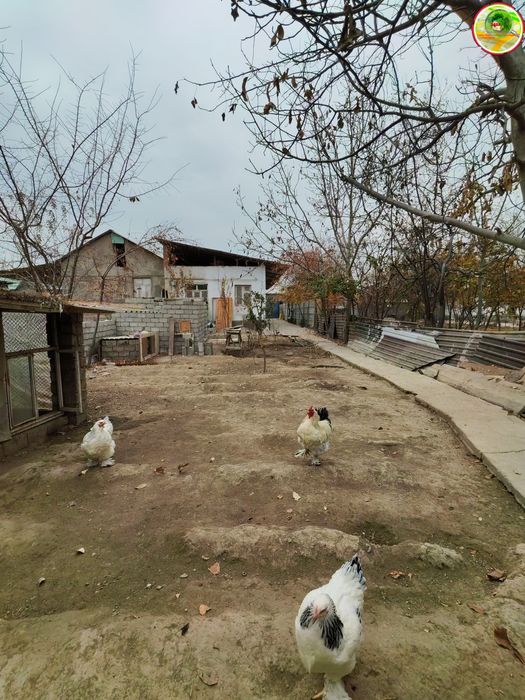 Продаётся  Дом Участок Юкори Чирчик-й р-н Балта