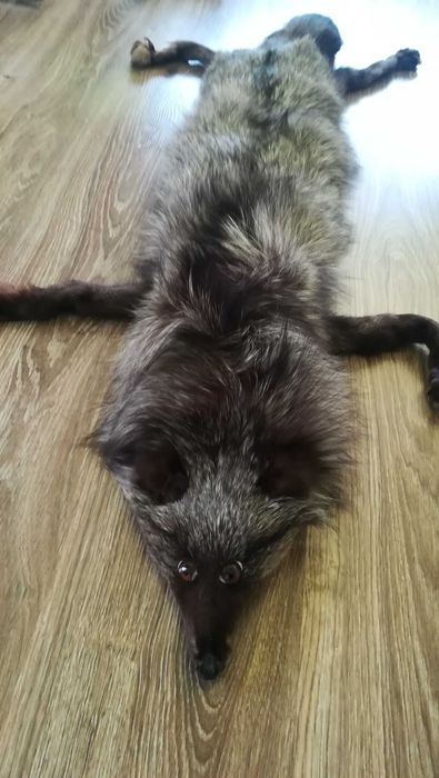 Яка и шапка от лисица