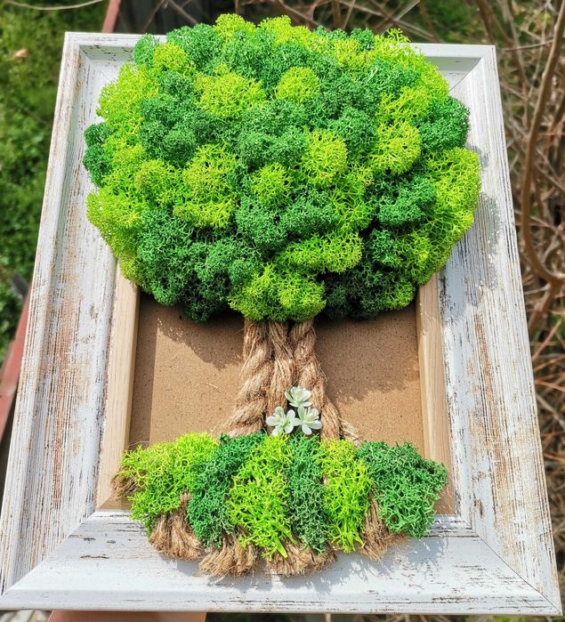 Дървото на живота с естествен скандинавски мъх, размер 30см